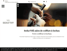 Tablet Screenshot of coiffeur-esthetique-seduc-tiff.fr